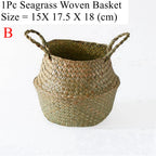 Woven Seagrass Belly Basket