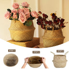 Woven Seagrass Belly Basket