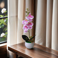 Faux Orchid in Pot