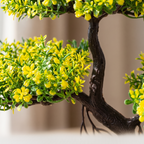Close up of the blossom clusters and branch detail on the bonsai tree