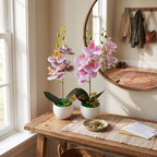 Faux orchid on an entryway console table in morning light