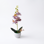 Faux orchid in a pot on a pure white studio background