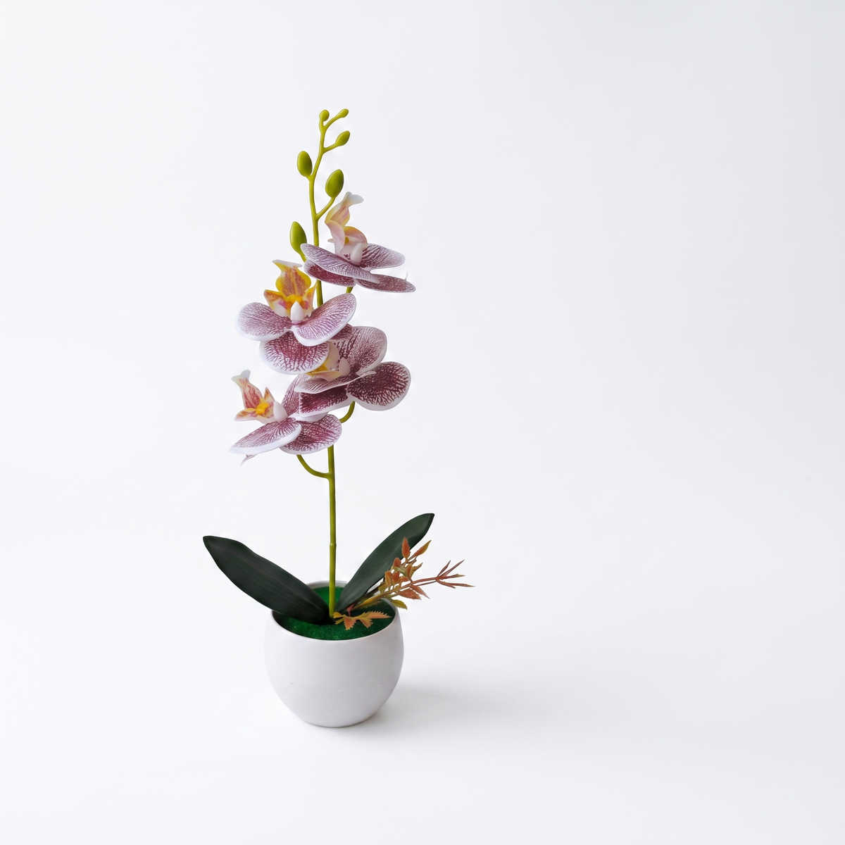 Faux orchid in a pot on a pure white studio background