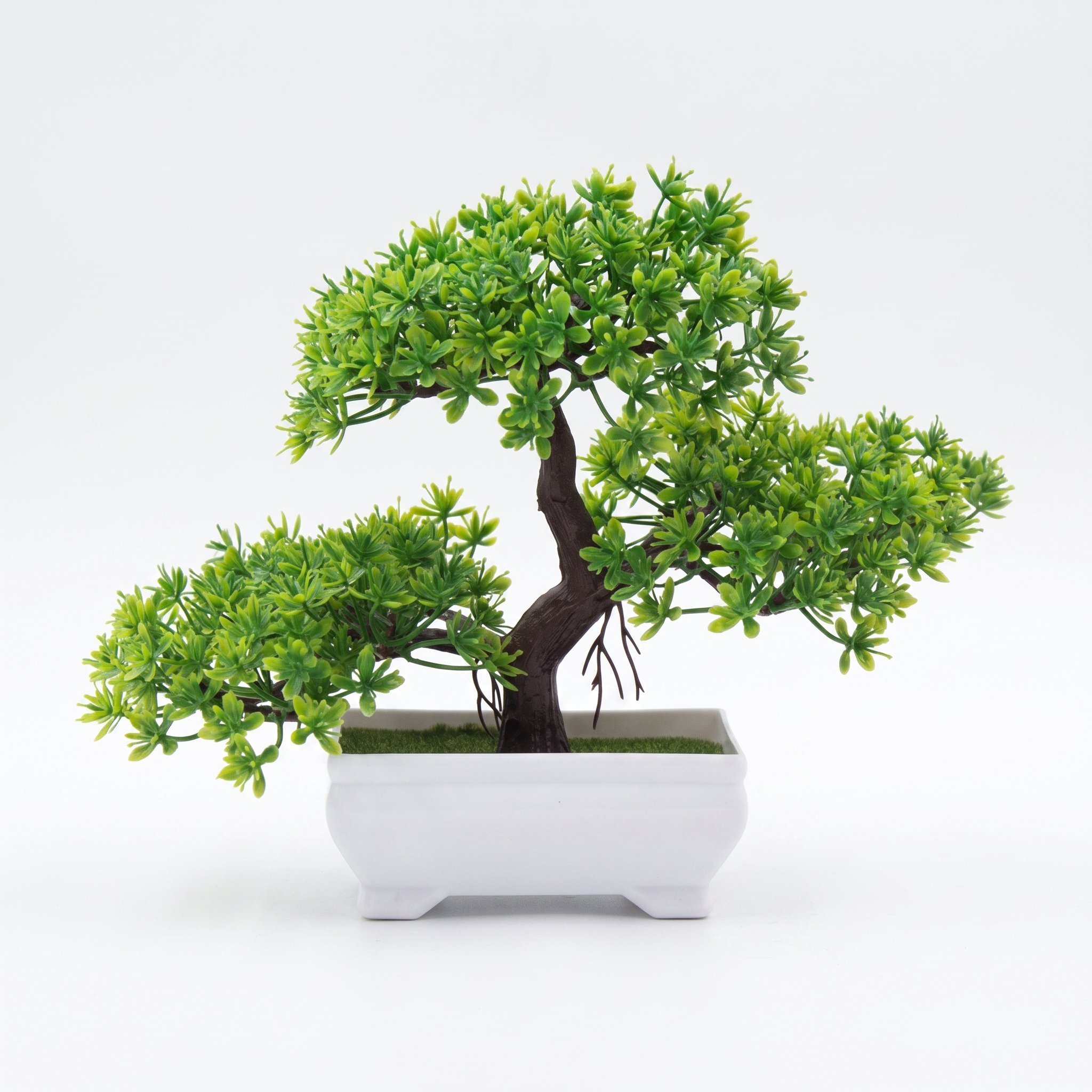 Faux green bonsai tree on a pure white studio background