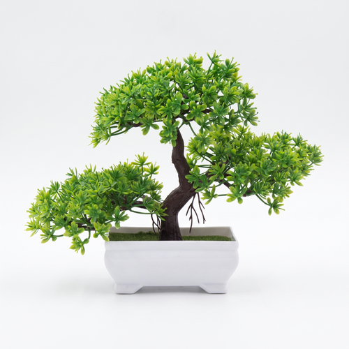 Faux green bonsai tree on a pure white studio background